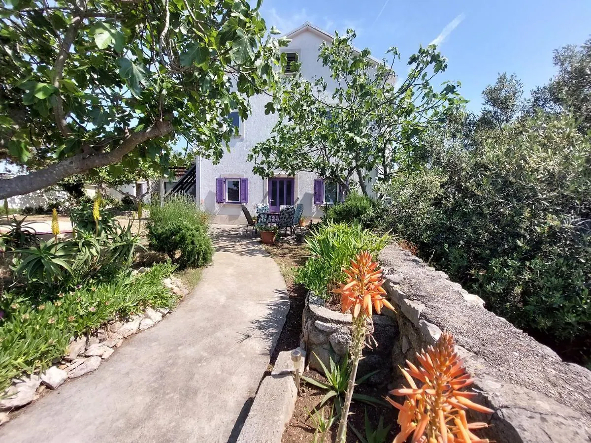 Casa Di Castello Apartman Mali Lošinj