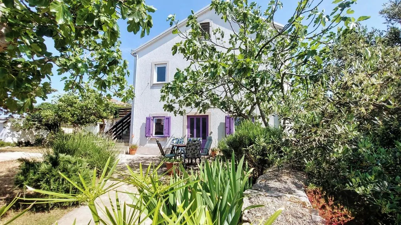 Casa Di Castello Apartment Mali Losinj